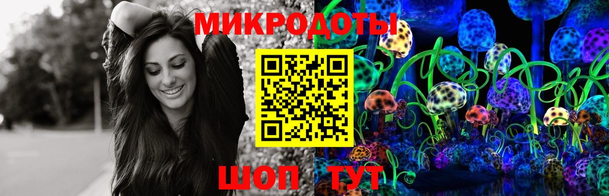 Псилоцибиновые грибы Psilocybe Липецк